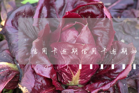 “信用卡逾期”，信用卡逾期：如何避免和解決這個(gè)問題？